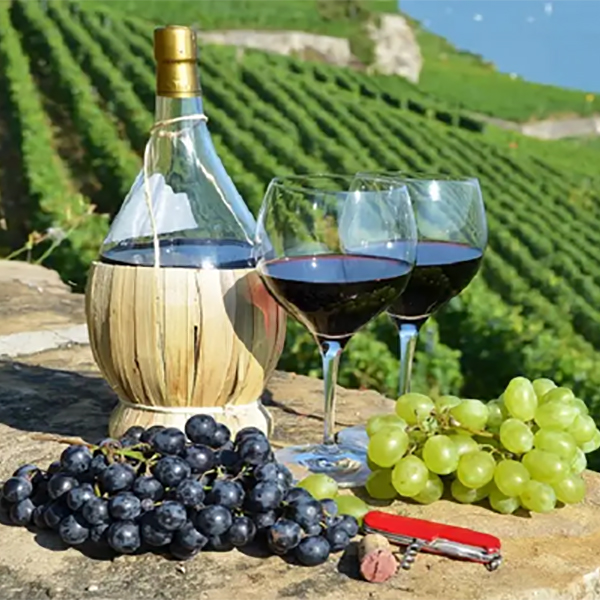 Tin Tức Rượu Vang